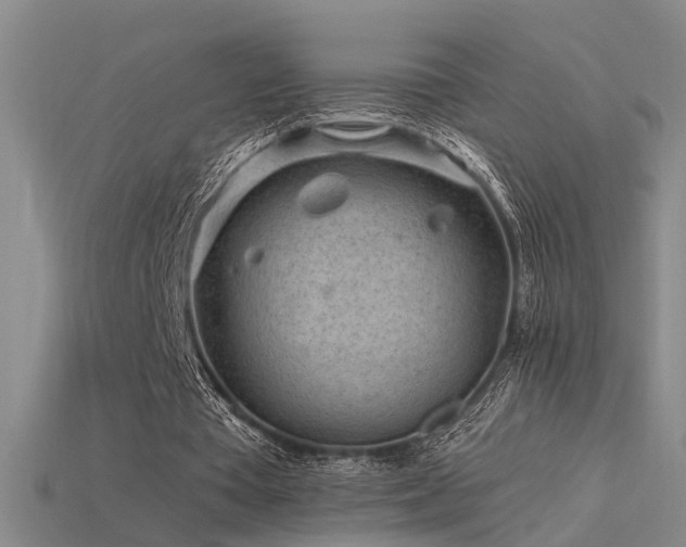 X0000115820385200911131449