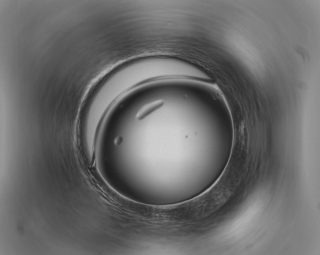 X0000115820388200911131449