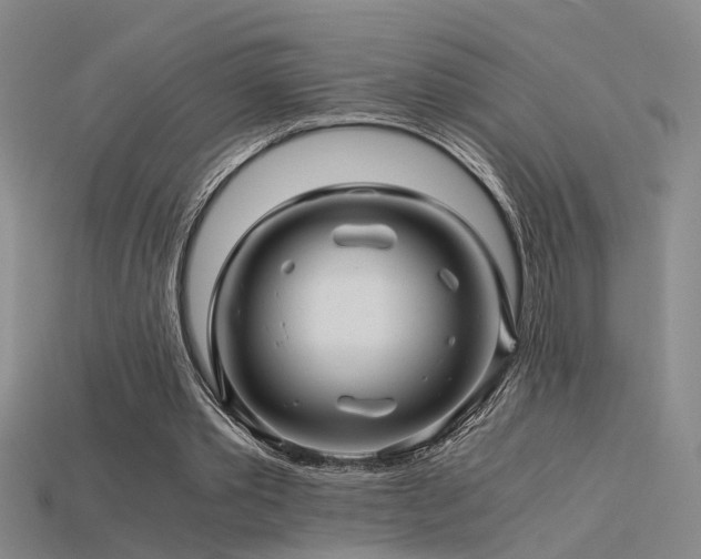 X0000115820389200911131449