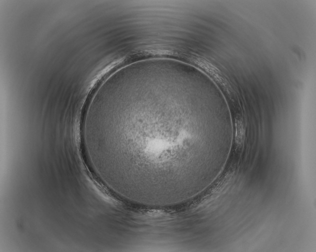 X0000115820390200911131449