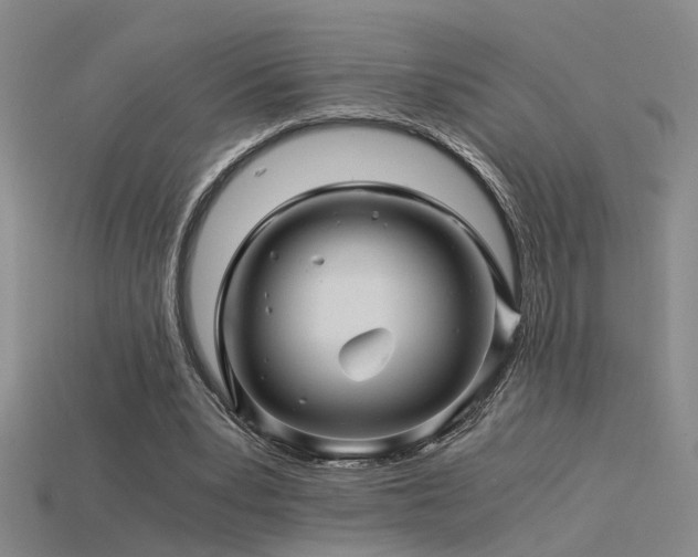 X0000115820391200911131448