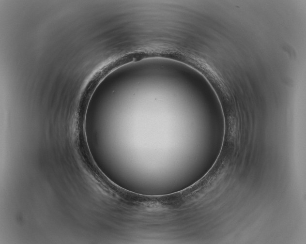 X0000115820392200911131448