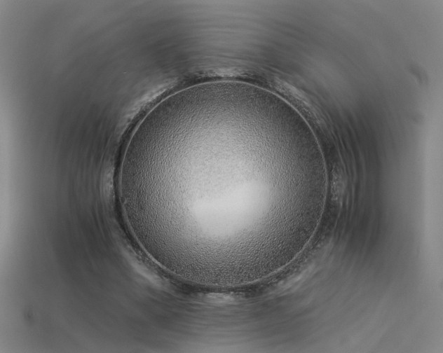 X0000115820394200911131448