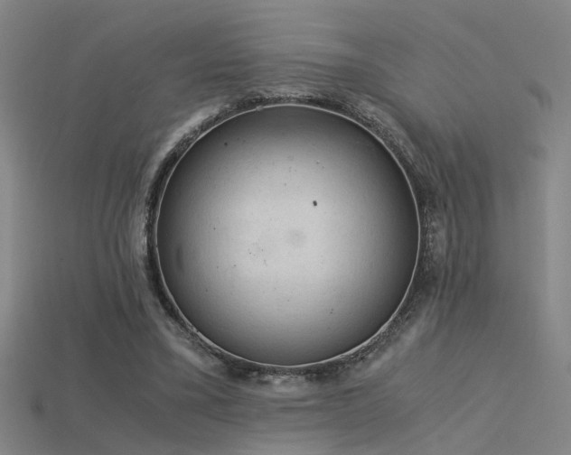 X0000115820395200911131448