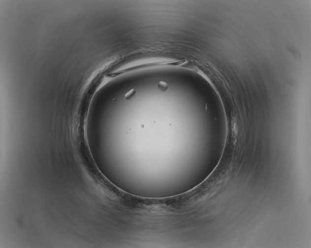 X0000115820396200911131448