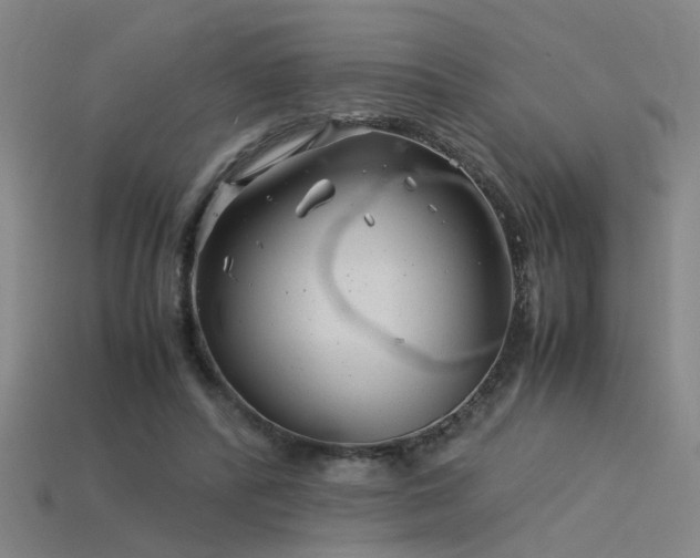 X0000115820400200911131448