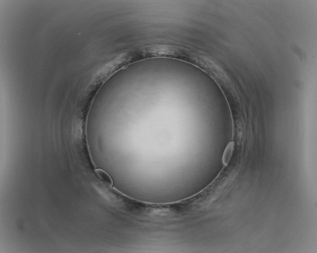 X0000115820401200911131448