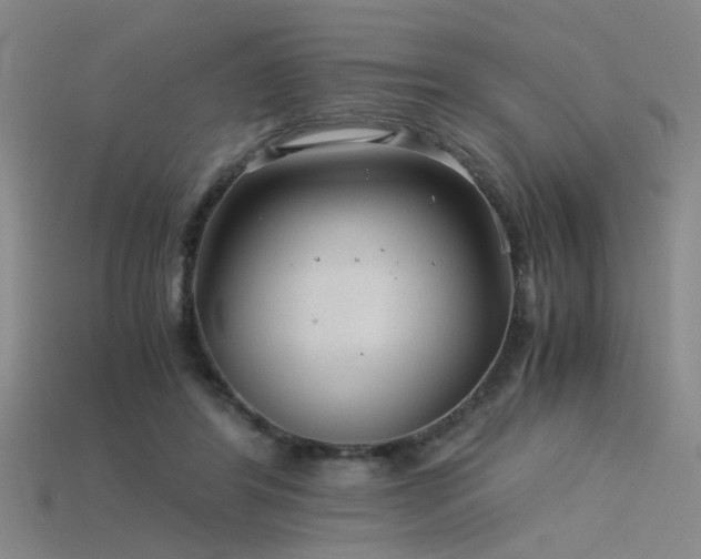 X0000115820404200911131448