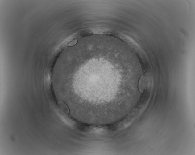 X0000115820405200911131448