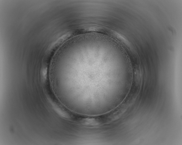 X0000115820406200911131448