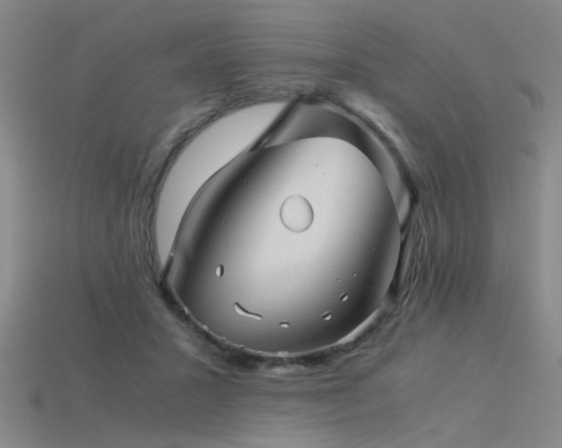 X0000115820407200911131448