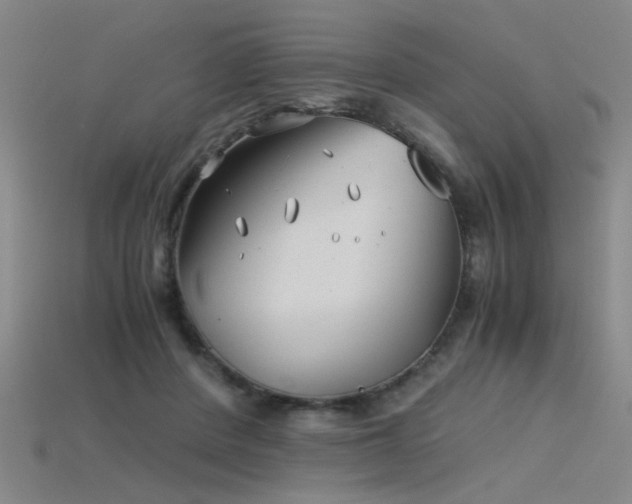 X0000115820408200911131448