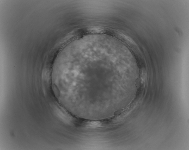 X0000115820409200911131448