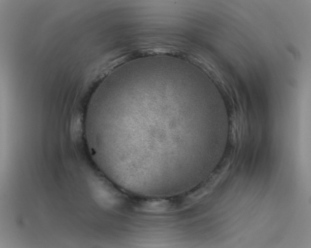 X0000115820410200911131448