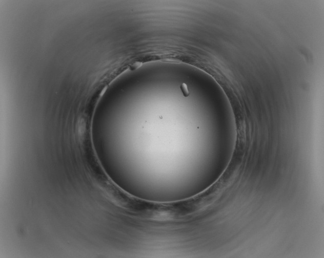 X0000115820412200911131448