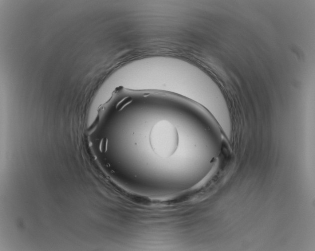 X0000115820413200911131448