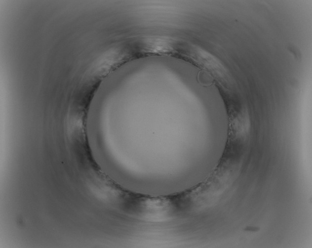 X0000115820415200911131448