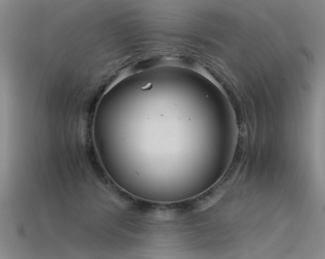 X0000115820416200911131448