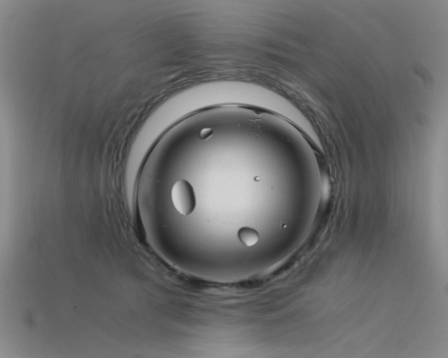 X0000115820417200911131448