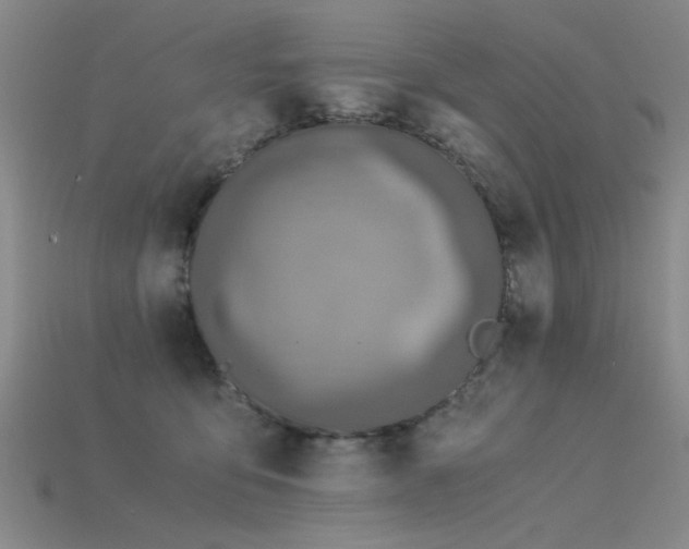 X0000115820419200911131448