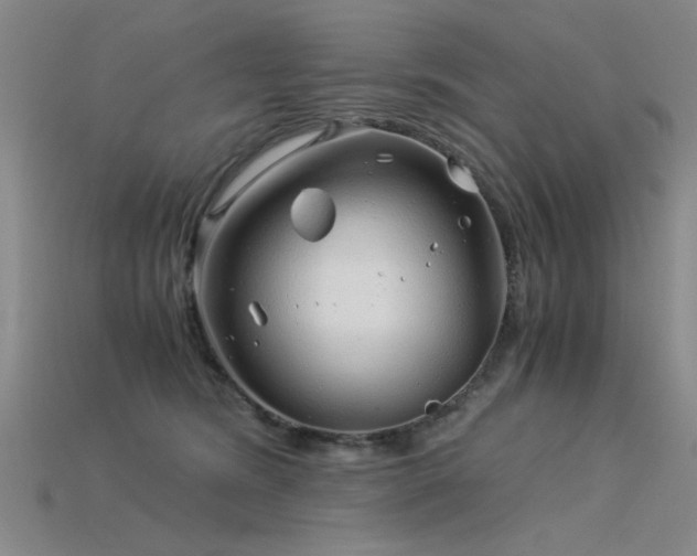 X0000115820420200911131448