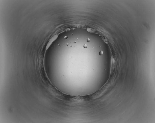 X0000115820421200911131448