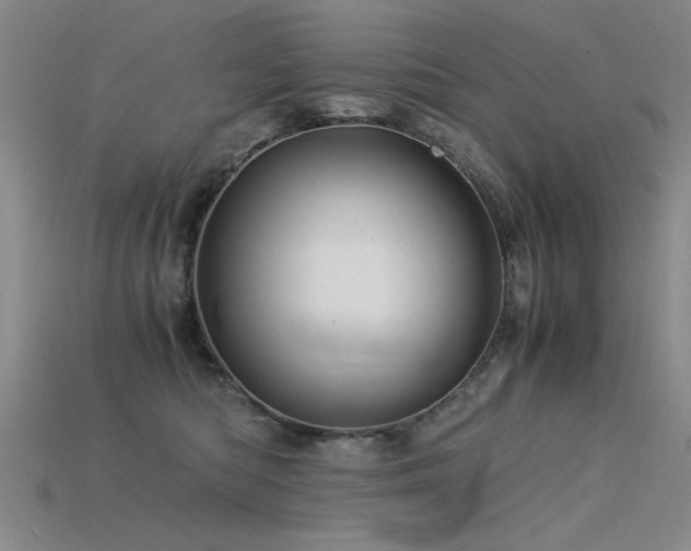 X0000115820422200911131448