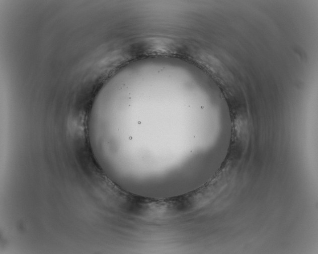 X0000115820423200911131448