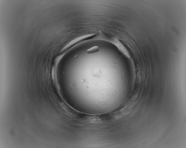 X0000115820424200911131448