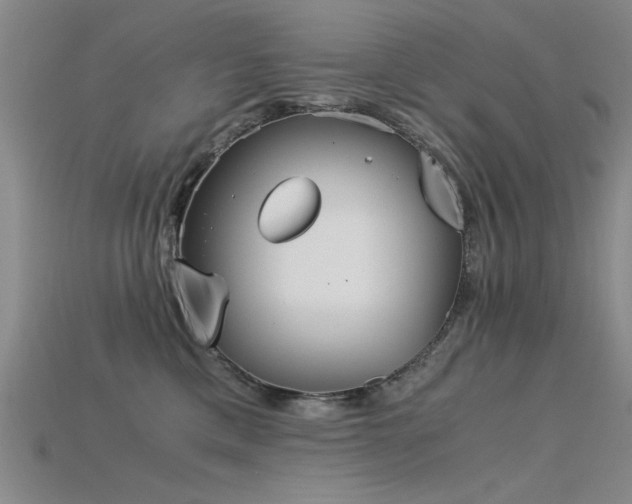 X0000115820425200911131448