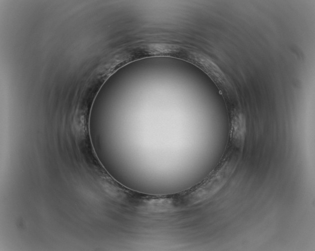 X0000115820426200911131448