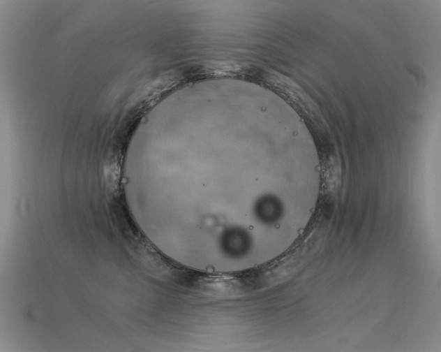 X0000115820427200911131448