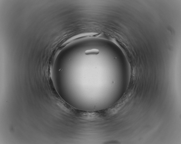 X0000115820428200911131448