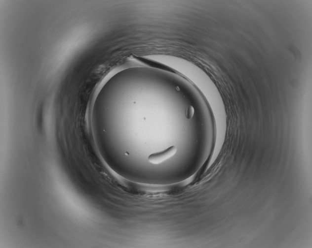 X0000115820429200911131448