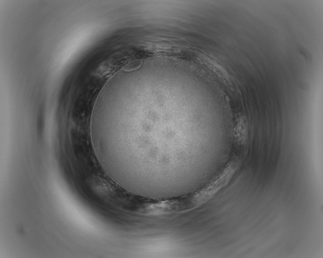 X0000115820430200911131448