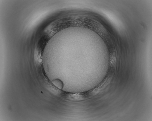 X0000115820431200911131448