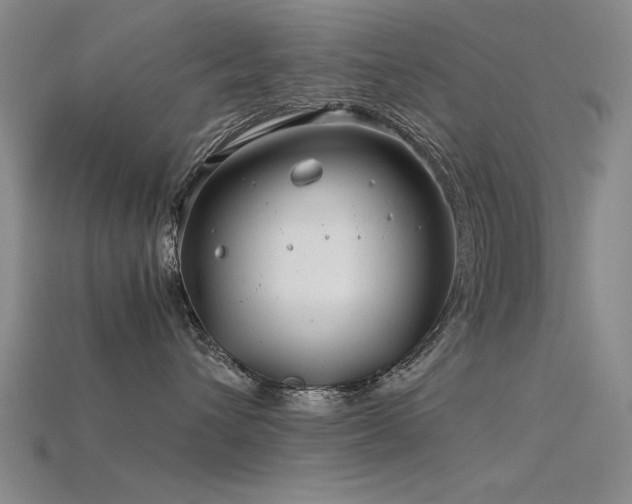 X0000115820432200911131448