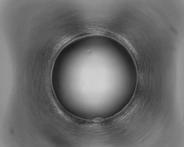 X0000115820433200911131447