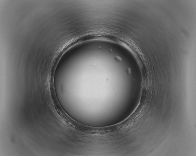 X0000115820434200911131447