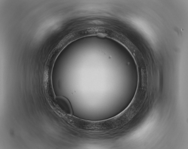 X0000115820435200911131447