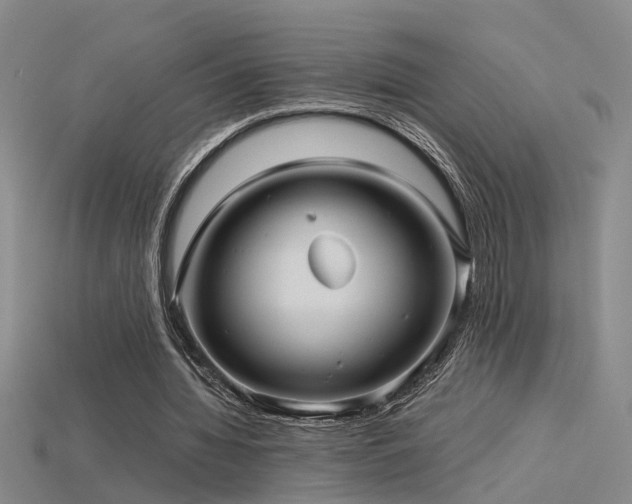 X0000115820436200911131447