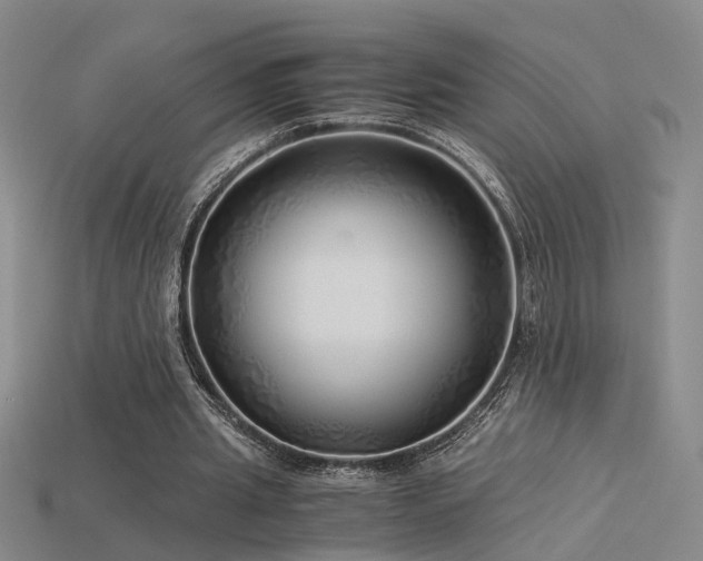 X0000115820437200911131447