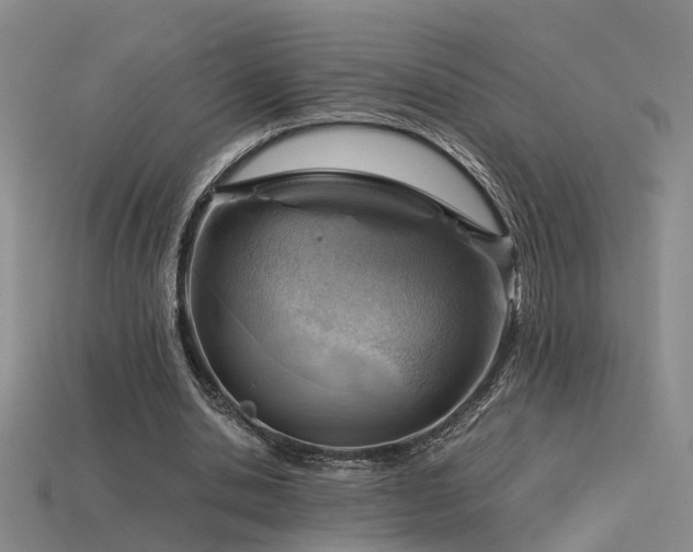 X0000115820438200911131447