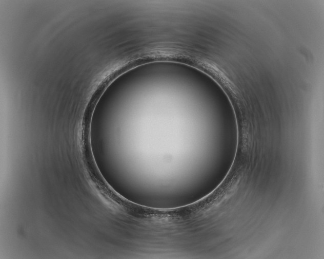 X0000115820439200911131447