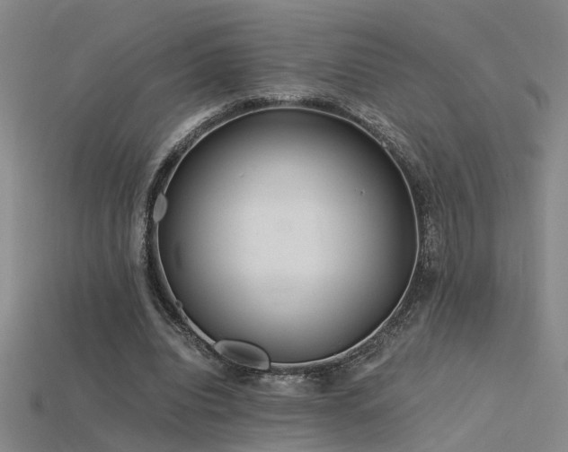 X0000115820440200911131447