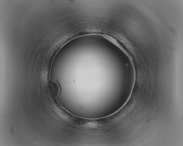 X0000115820441200911131447