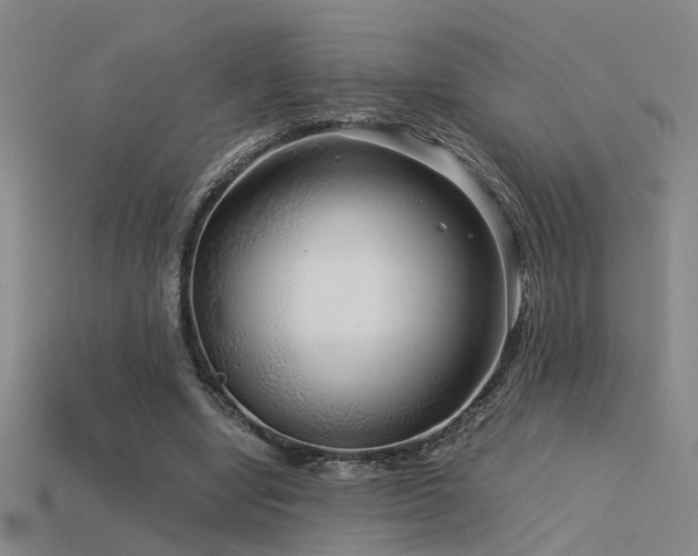 X0000115820442200911131447