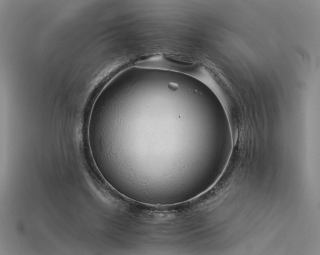 X0000115820443200911131447