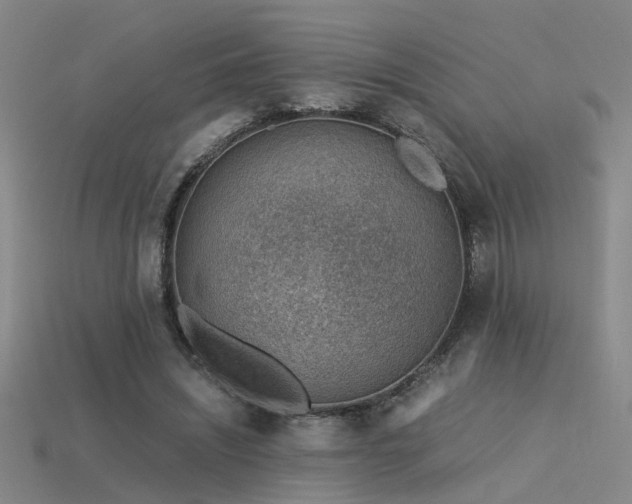 X0000115820444200911131447