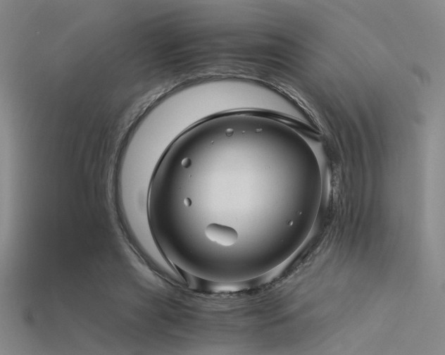 X0000115820445200911131447